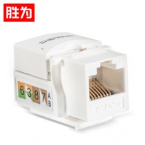 勝為 六類非屏蔽網(wǎng)絡(luò)模塊8P8C CAT6 RJ45插座連接頭直通頭 SIM-601